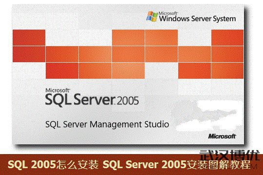 SQL2005bD.jpg